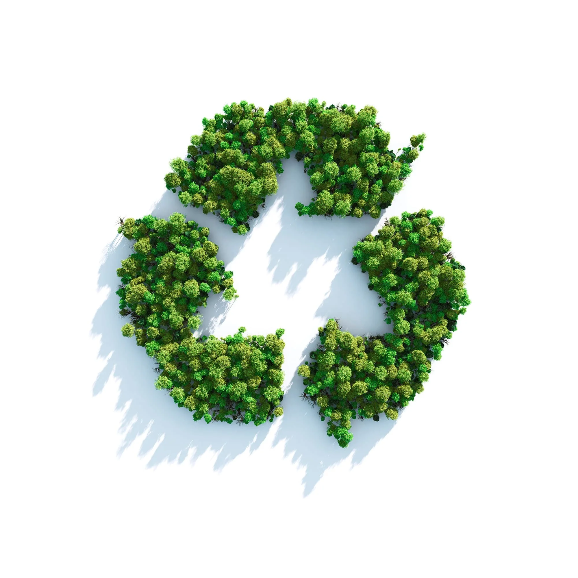 Recycling, our key strength